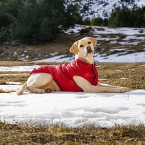 FuzzYard koiran takki Hakuba, punainen (chest: 44 - 45 cm, lenght: 30 )