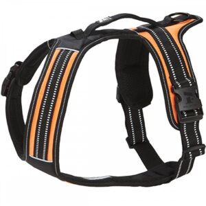 Koiran valjaat FA Sport, oranssi (L)