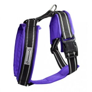 Kusse&Kutta-koiran valjaat softshell-pehmusteella, violetti (7)