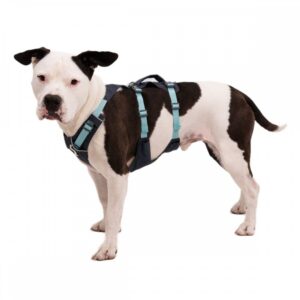 Ruffwear Flagline valjaat, harmaa (XS)