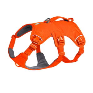 Ruffwear Web Master valjaat koiralle, Blaze Orange (S)