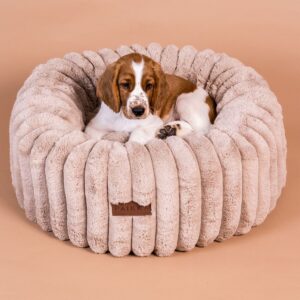 Ortopedinen peti PAIKKA round