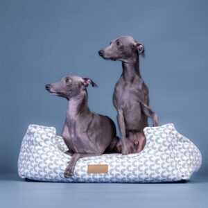 Reunallinen peti PAIKKA Treasure